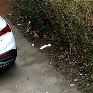 Meet your Posher, Troy blue